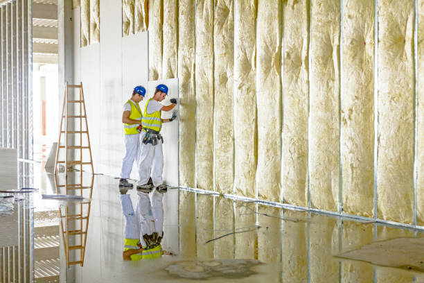 Best Home Insulation Services  in New Hampton, IA